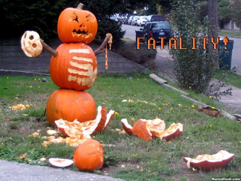 Name:  Fatality.jpg
Views: 48
Size:  56.8 KB