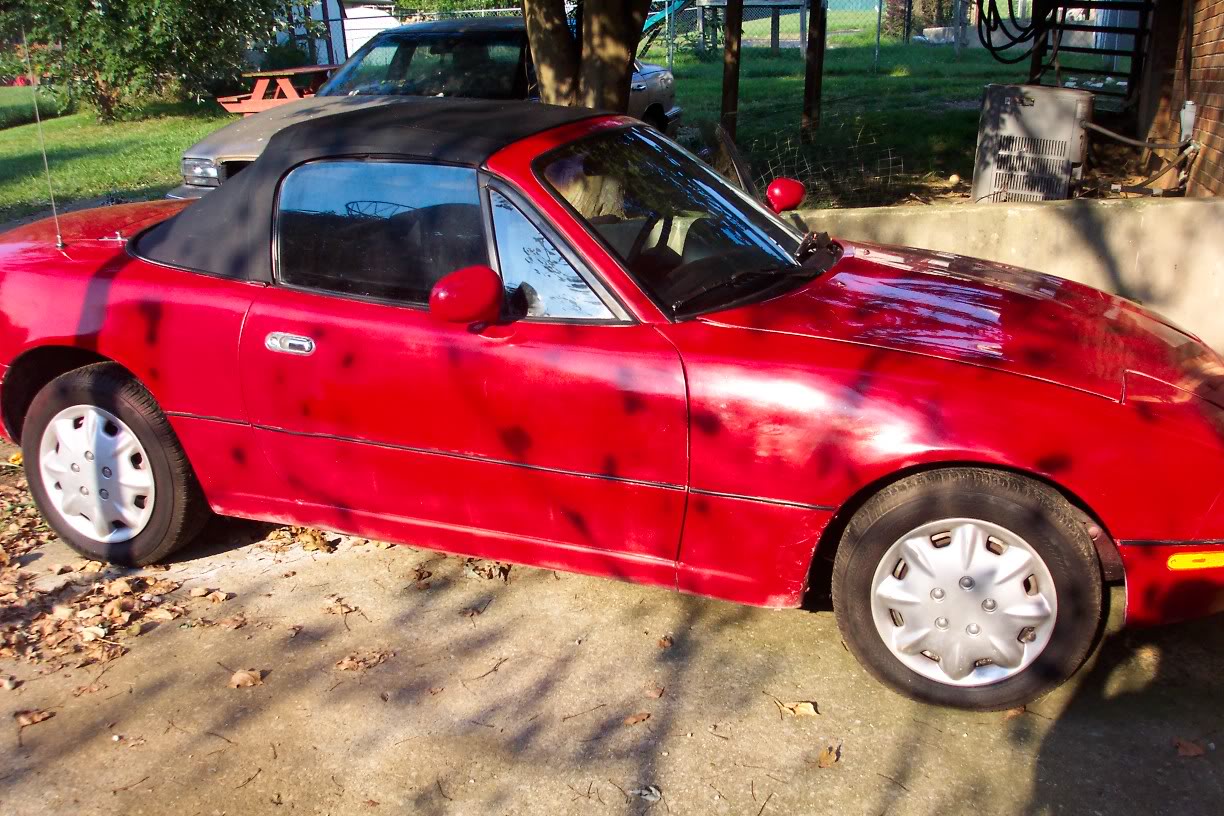 Name:  Dawgs050806040.jpg
Views: 64
Size:  231.4 KB