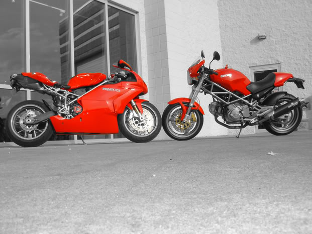 Name:  ducatianniversaryred.jpg
Views: 56
Size:  61.4 KB