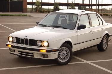 Name:  DSC_0165.jpg
Views: 43
Size:  51.6 KB