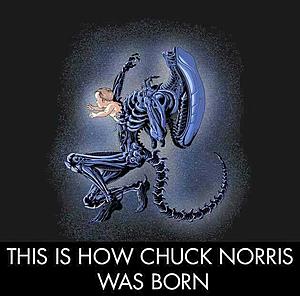 The AI-generated cat pictures thread-20258360_1134593226685365_2539338607931658755_n.jpg