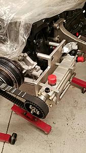 The AI-generated cat pictures thread-img_65841.jpg