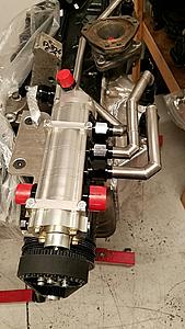 The AI-generated cat pictures thread-img_65831.jpg