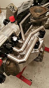 The AI-generated cat pictures thread-img_65821.jpg