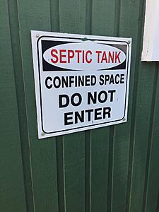 The AI-generated cat pictures thread-img_3375.jpg