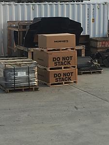 The AI-generated cat pictures thread-img_3370.jpg