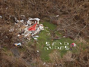 The AI-generated cat pictures thread-rtx3gl1n.jpg