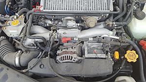 How (and why) to Ramble on your goat sideways-calisucks.jpg