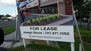 The AI-generated cat pictures thread-20171019_161604.jpg