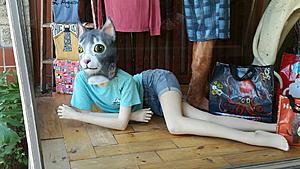 How (and why) to Ramble on your goat sideways-11130.jpeg