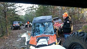 The AI-generated cat pictures thread-20171110_163418.jpg