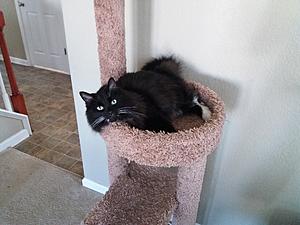 "Living in Hawaii"-20171130_120913.jpg