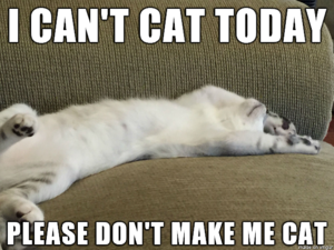 The AI-generated cat pictures thread-cantcat.png