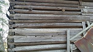 The AI-generated cat pictures thread-20171216_115200.jpg