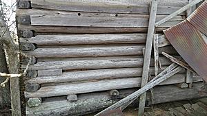 The AI-generated cat pictures thread-20171216_115204.jpg