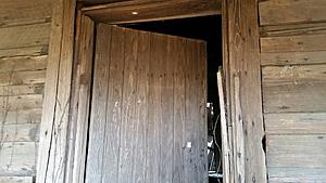 The AI-generated cat pictures thread-20171216_120023.jpg