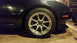 The AI-generated cat pictures thread-20171214_192619.jpg