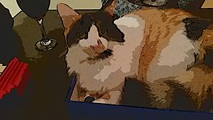 The AI-generated cat pictures thread-20180102_185520.jpg