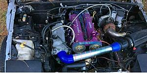 The AI-generated cat pictures thread-fb_img_1515085296704-01.jpeg