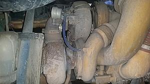 The AI-generated cat pictures thread-20180116_090959.jpg