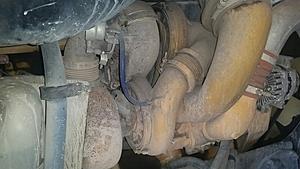 The AI-generated cat pictures thread-20180116_091011.jpg