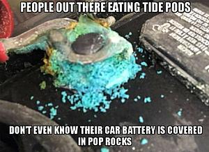 The AI-generated cat pictures thread-26952670_1963723816990570_8506258387711355865_o.jpg