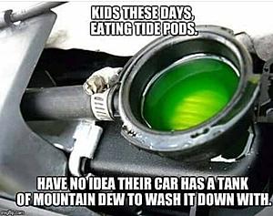 The AI-generated cat pictures thread-27021494_2008920399123739_2130055318925612885_o.jpg