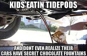 The AI-generated cat pictures thread-26804932_1814523001914887_4013069418696873048_n.jpg