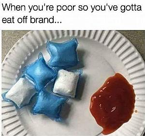 The AI-generated cat pictures thread-poorpods.jpg