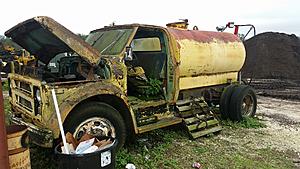 The AI-generated cat pictures thread-20180129_142624.jpg