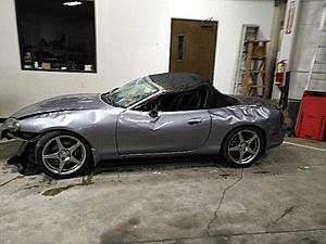 The AI-generated cat pictures thread-img_3726.jpg