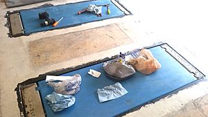 The AI-generated cat pictures thread-20180204_143211.jpg