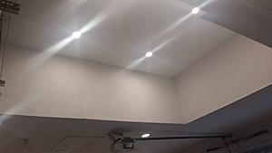 The AI-generated cat pictures thread-20180204_151657.jpg