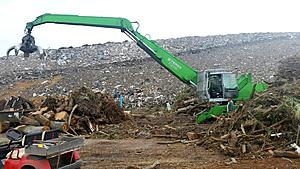 The AI-generated cat pictures thread-20180126_162511_resized.jpg