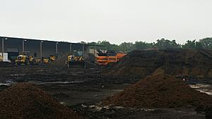 The AI-generated cat pictures thread-20180409_100103.jpg