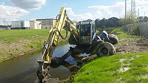 The AI-generated cat pictures thread-20180223_141636.jpg