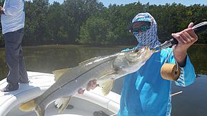 The AI-generated cat pictures thread-20180412_140831.jpg