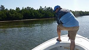 The AI-generated cat pictures thread-20180412_103713.jpg