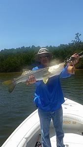 The AI-generated cat pictures thread-20180412_131628.jpg