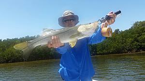 The AI-generated cat pictures thread-20180412_131623.jpg