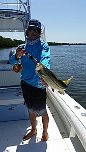 The AI-generated cat pictures thread-20180412_114031.jpg