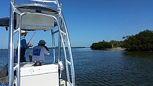 The AI-generated cat pictures thread-20180412_103745.jpg