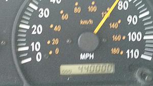 The AI-generated cat pictures thread-20180420_102119.jpg