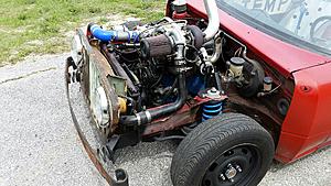 The AI-generated cat pictures thread-20180526_112455.jpg