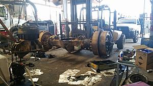 The AI-generated cat pictures thread-20180611_145111.jpg