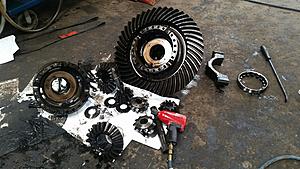 The AI-generated cat pictures thread-20180611_145202.jpg