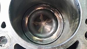 The AI-generated cat pictures thread-20180615_114605.jpg