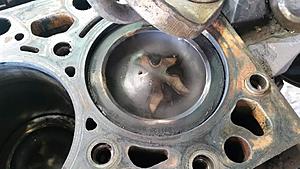 The AI-generated cat pictures thread-20180615_114532.jpg