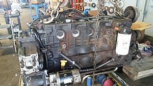 The AI-generated cat pictures thread-20180615_114634.jpg