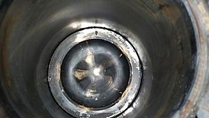 The AI-generated cat pictures thread-20180615_114544.jpg